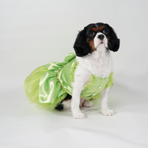 Tinker Bell Premium Disney Costume for Pets