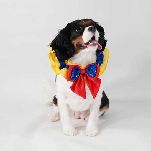 Snow White Premium Disney Collar for Pets
