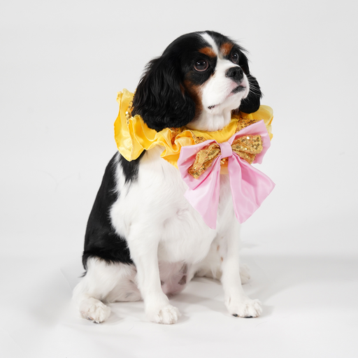 Belle Premium Disney Collar for Pets