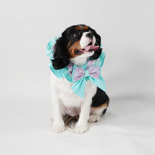 Ariel the Little Mermaid Premium Disney Collar for Pets