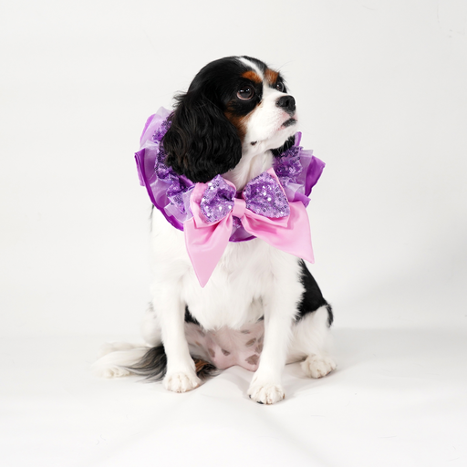 Rapunzel Premium Disney Collar for Pets