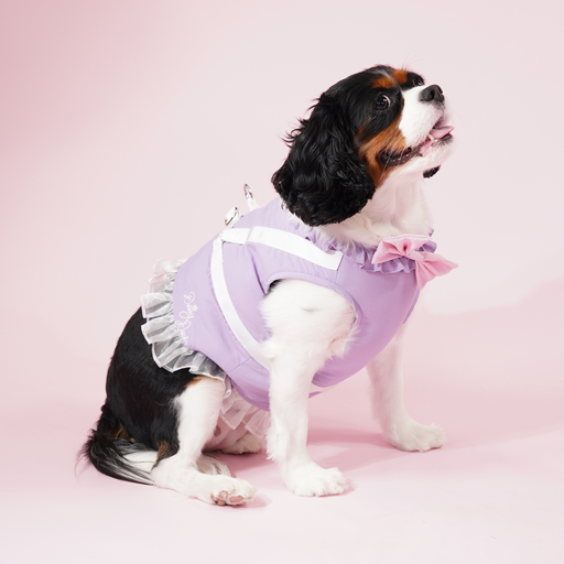 Daisy Duck Premium Disney Harness for Pets