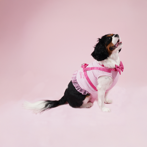 マルチプリンセスハーネス（セーラー型・犬用）