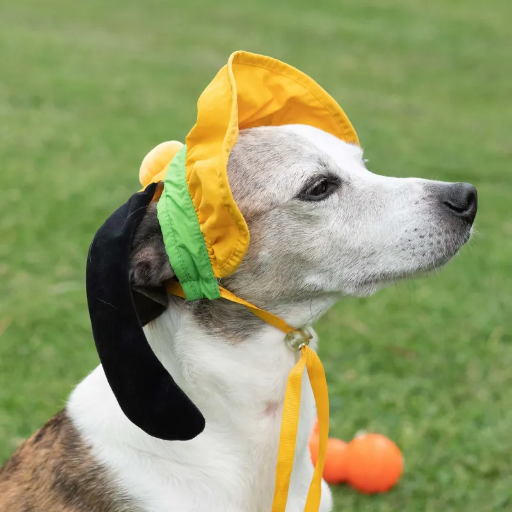 Pluto Premium Disney Sun Hat for Pets (With Ears)