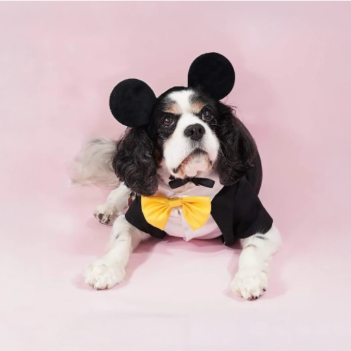 ミッキーマウスプレミアムディズニーコスチュームセット