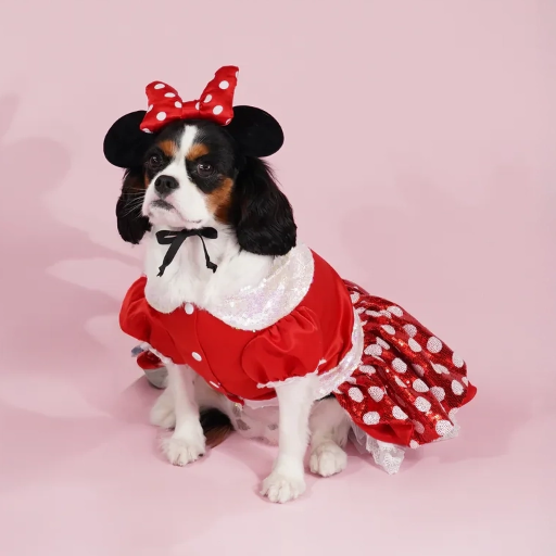 ミニーマウスプレミアムディズニーコスチュームセット