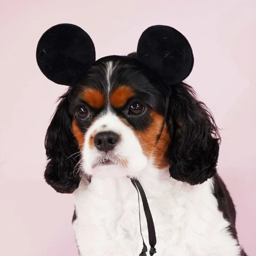 Mickey Mouse Premium Disney Ears Head Accessory for Pets