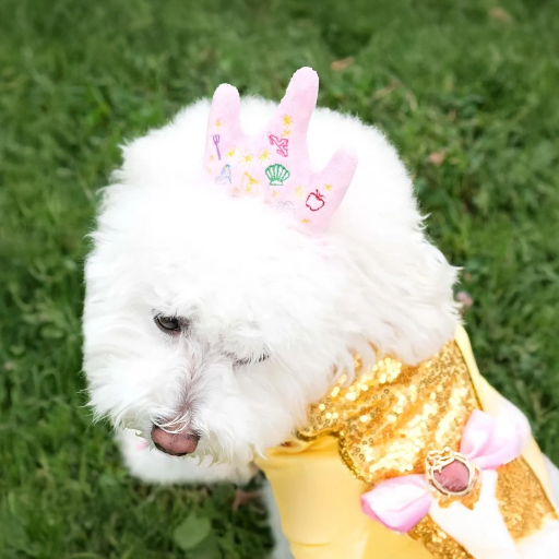 ペット用ディズニープリンセスプレミアムクラウンヘッドアクセサリー