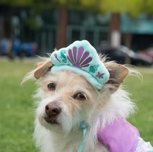 Ariel The Little Mermaid Premium Disney Head Accessory for Pets