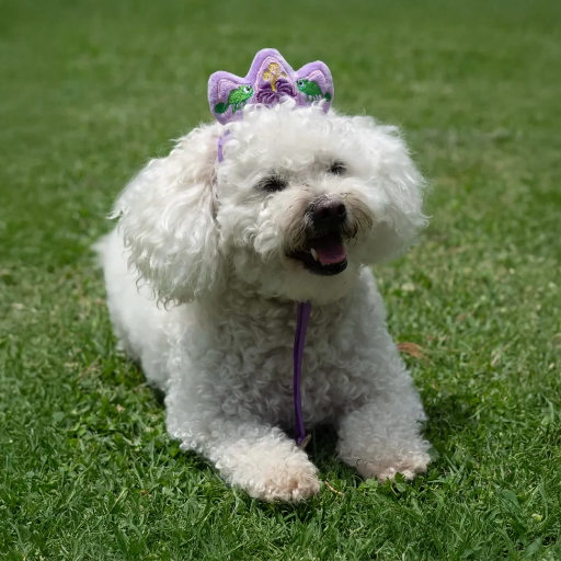 Rapunzel Premium Disney Head Accessory for Pets