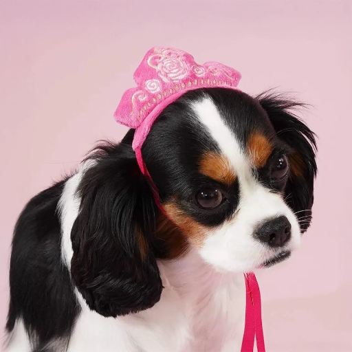 Aurora Premium Disney Head Accessory for Pets, Sleeping Beauty