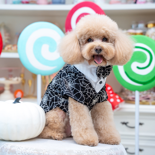 蛍光スバイターウェブ柄ハロウィーンテールコート