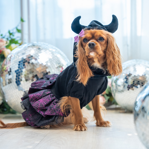 Devil Horn Hat Glitter Dress