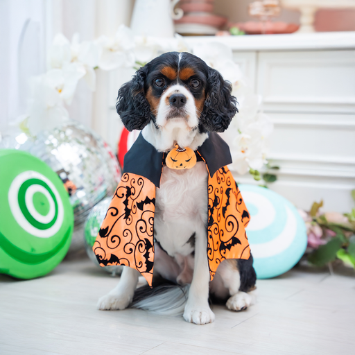 ハロウィンケープ