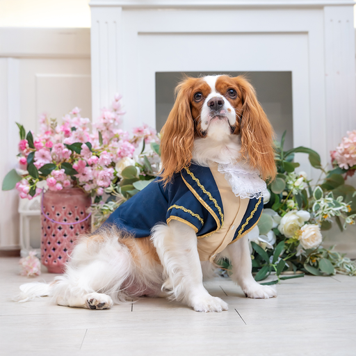 Prince Tuxedo